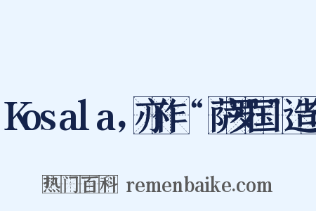 Kosala，亦作“憍萨罗国”造句是什么意思的图片